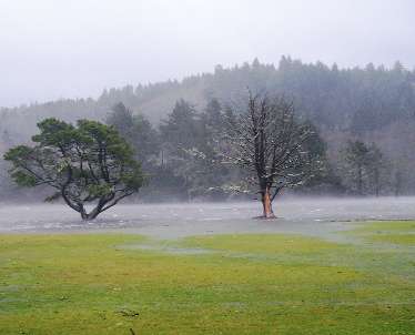 Neskowin Beach Golf Course,Neskowin, Oregon,  - Golf Course Photo