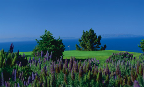 Golf Course Photo, Los Verdes Golf Course, Rancho Palos Verdes, 90275 