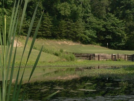 Mountain View Golf Course, Graysville, Alabama, 35073 - Golf Course Photo