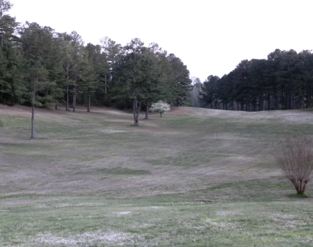 Cahawba Falls Country Club, Centreville, Alabama, 35042 - Golf Course Photo