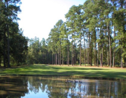 Stumpy Lake Golf Course, Virginia Beach, Virginia, 23456 - Golf Course Photo