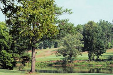 Lake Jonesco Golf Course, Gray, Georgia, 31032 - Golf Course Photo