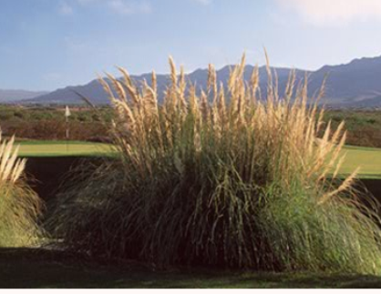 Painted Dunes Golf Course, El Paso, Texas, 79934 - Golf Course Photo