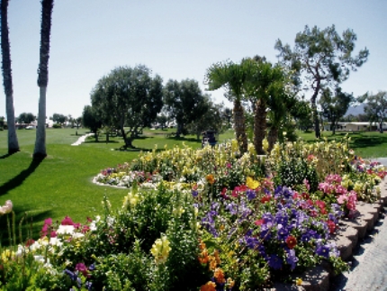 Golf Course Photo, Palm Desert Greens Country Club, Palm Desert, 92260 