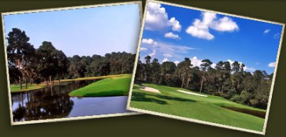 Woodlands Resort & Country Club, Cannongate Course,The Woodlands, Texas,  - Golf Course Photo