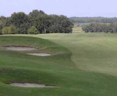 Golf Course Photo, Black Bear Golf Club, Eustis, 32736 