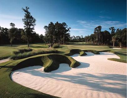 Golf Course Photo, Kiawah Island Club, Cassique Golf Course, Kiawah Island, 29455 