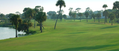 Golf Course Photo, Miles Grant Country Club, Stuart, 34997 