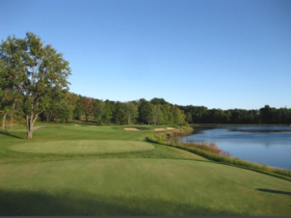 Golf Course Photo, Blue Heron Golf Club, CLOSED 2012, Medina, 44256 