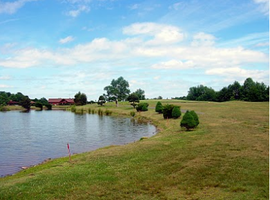 Golf Course Photo, Swan Lake Golf & Country Club, Swan Lake, 12783 