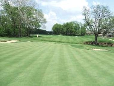 Golf Course Photo, Valley View Golf Club, Farmington, 72730 