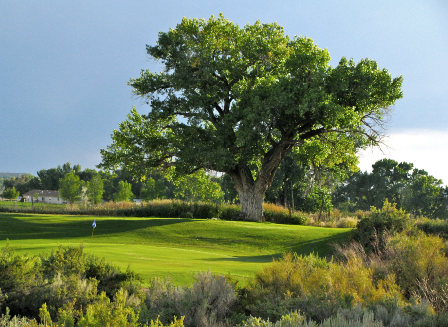 South Forty Golf Course and Driving Range,Cortez, Colorado,  - Golf Course Photo