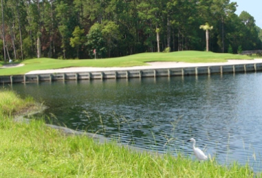 Golf Course Photo, Dolphin Head Golf Course, Hilton Head Island, 13081 