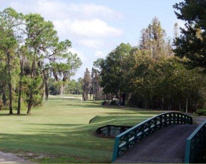 Golf Course Photo, Big Cypress Golf & Country Club, Big Cypress South Course, Lakeland, 33809 