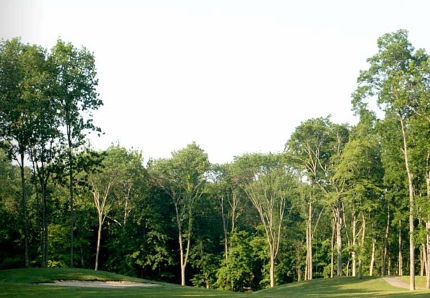 Safari Golf Club,Powell, Ohio,  - Golf Course Photo