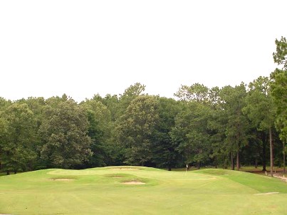 Southern Landings Golf Club | Landings Golf Course,Warner Robins, Georgia,  - Golf Course Photo