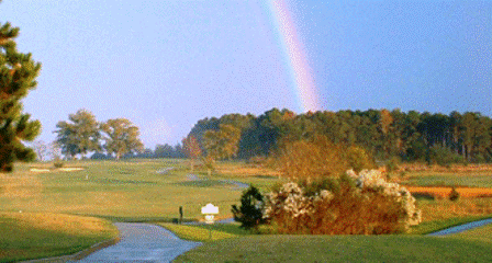 Meadow Links Golf Coursee at George T. Bagby, Fort Gaines, Georgia, 31751 - Golf Course Photo