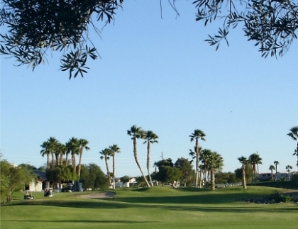 Riverview Rv Resort & Golf Club,Bullhead City, Arizona,  - Golf Course Photo