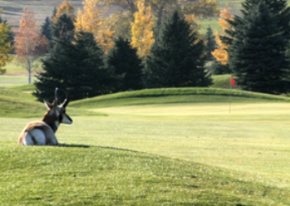 Douglas Country Club, Douglas, Wyoming, 82633 - Golf Course Photo