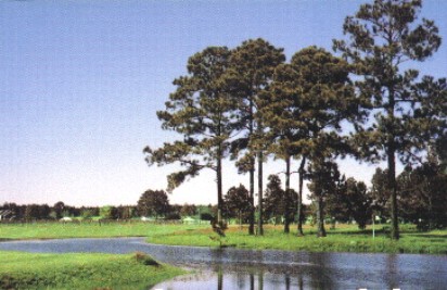 Beauregard Country Club,Deridder, Louisiana,  - Golf Course Photo