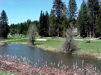 Golf Course Photo, Mace Meadow Golf & Country Club, Pioneer, 95666 