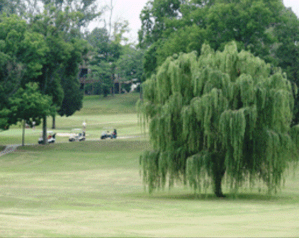 Golf Course Photo, Gallatin Country Club, Gallatin, 37066 