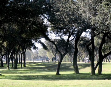 Golf Course Photo, Berry Creek Country Club, Georgetown, 78628 