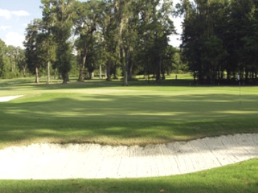 Golf Course Photo, Henderson Golf Club, Savannah, 31419 