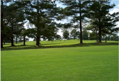 Cedars Golf & Country Club,Zebulon, Georgia,  - Golf Course Photo