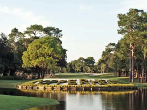 Golf Course Photo, Innisbrook Resort & Golf Club, Copperhead Course , Palm Harbor, 34684 