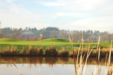 Sumner Meadows Golf Links, CLOSED 2013, Sumner, Washington, 98390 - Golf Course Photo