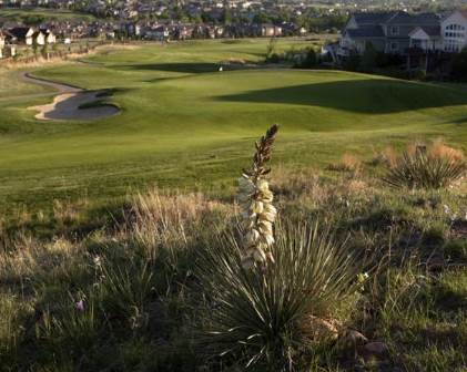 Golf Course Photo, Saddle Rock Golf Course, Aurora, 80016 