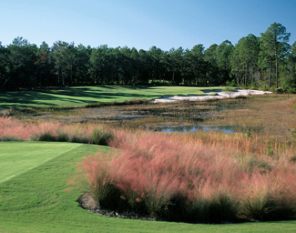 Camp Creek Golf Club, WaterSound, Florida, 32461 - Golf Course Photo