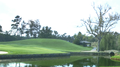 Vestavia Country Club,Birmingham, Alabama,  - Golf Course Photo