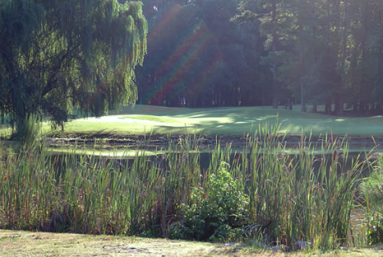 Newport News Golf Club, Cardinal Course, Newport News, Virginia, 23608 - Golf Course Photo