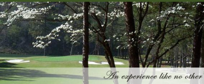 Golf Course Photo, Pine Tree Country Club, Birmingham, 35210 