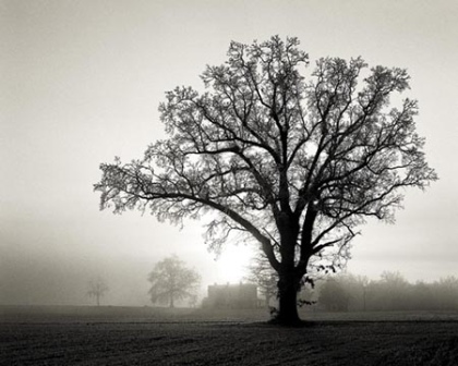 Lone Oak Golf Club, CLOSED 2009