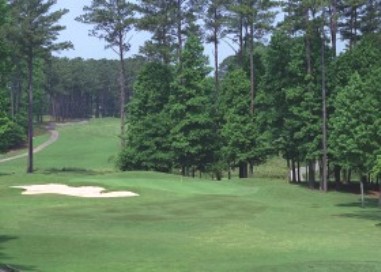 Golf Course Photo, Fox Creek Golf Club, Smyrna, 30080 