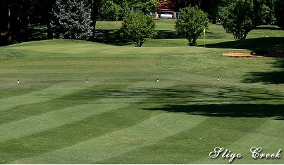 Golf Course Photo, Sligo Creek Golf Course, Silver Spring, 20901 