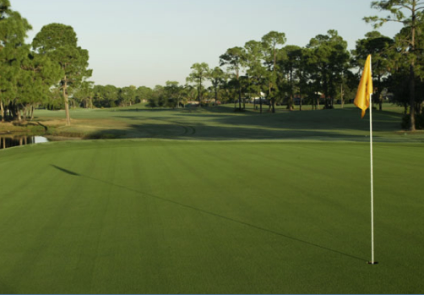 Golf Course Photo, Palm-Aire Country Club, Champions Course, Sarasota, 34243 