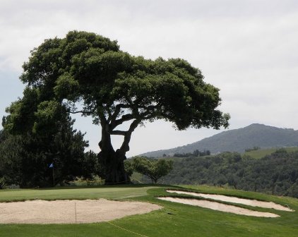 Petaluma Golf & Country Club,Petaluma, California,  - Golf Course Photo