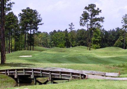 Golf Course Photo, Pine Forest Country Club, Summerville, 29483 