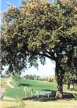 Clay Center Country Club,Clay Center, Kansas,  - Golf Course Photo