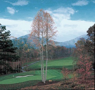 Golf Course Photo, The Cliffs At Walnut Cove Golf Course, Arden, 28704 