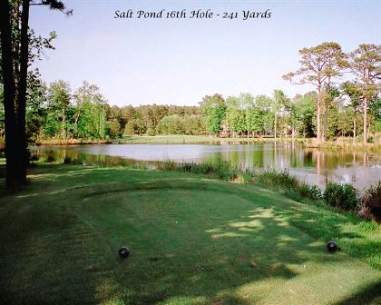 Salt Pond Golf Course, The,Bethany Beach, Delaware,  - Golf Course Photo