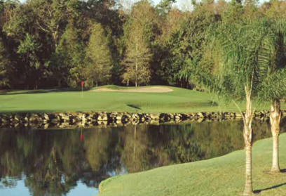 Disney World - Palm Course, Lake Buena Vista, Florida, 32830 - Golf Course Photo