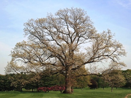 Farms Country Club, The, Wallingford, Connecticut, 06492 - Golf Course Photo