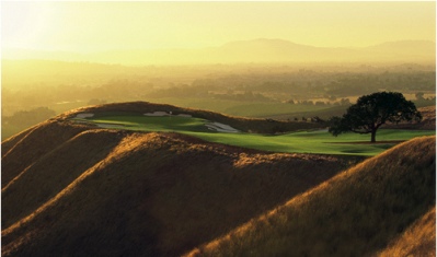 Course At Wente Vineyards,Livermore, California,  - Golf Course Photo