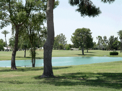 Willowcreek Golf Course -Willowcreek,Sun City, Arizona,  - Golf Course Photo