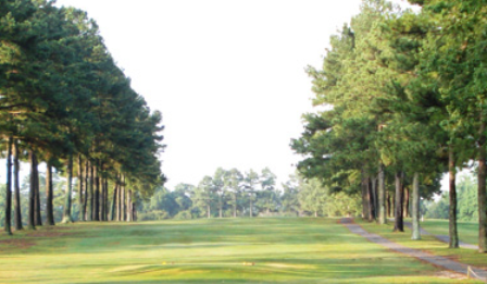 Golf Course Photo, Wendell Country Club, Wendell, 27591 